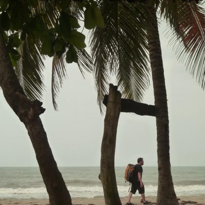 Turista Palomino