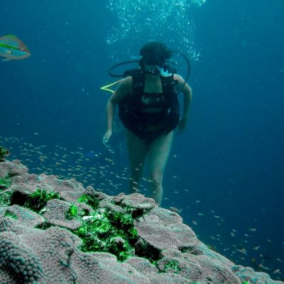 Buceo en el Caribe en las Islas del Rosario, Colombia en 2006